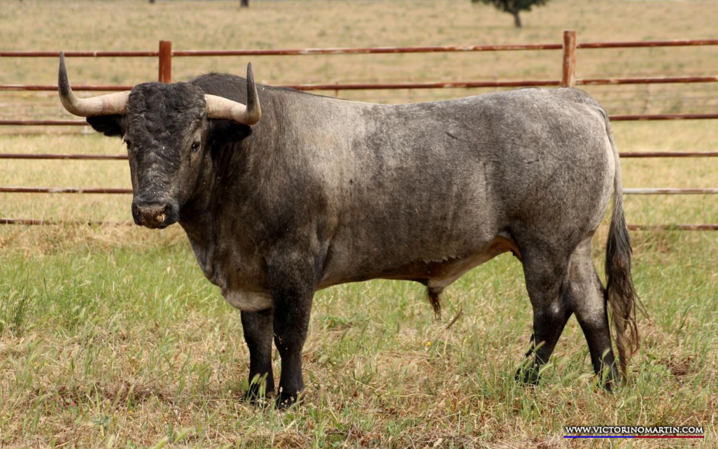 PESONERO  Nº 131 • G 2014