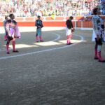 Torrejón de Ardoz (Madrid) - Corrida de toros - Domingo 17 de junio de 2018