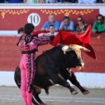 Torrejón de Ardoz (Madrid) - Corrida de toros - Domingo 17 de junio de 2018