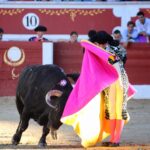 Torrejón de Ardoz (Madrid) - Corrida de toros - Domingo 17 de junio de 2018
