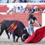 Torrejón de Ardoz (Madrid) - Corrida de toros - Domingo 17 de junio de 2018