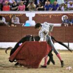 Torrejón de Ardoz (Madrid) - Corrida de toros - Domingo 17 de junio de 2018