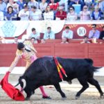 Torreón de Ardoz (Madrid) - Corrida de toros - Sorteo - Sábado 16 de junio de 2018