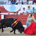 Torreón de Ardoz (Madrid) - Corrida de toros - Sorteo - Sábado 16 de junio de 2018