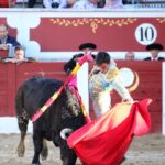 Torreón de Ardoz (Madrid) - Corrida de toros - Sorteo - Sábado 16 de junio de 2018