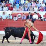 Torreón de Ardoz (Madrid) - Corrida de toros - Sorteo - Sábado 16 de junio de 2018