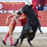 Torreón de Ardoz (Madrid) - Corrida de toros - Sorteo - Sábado 16 de junio de 2018