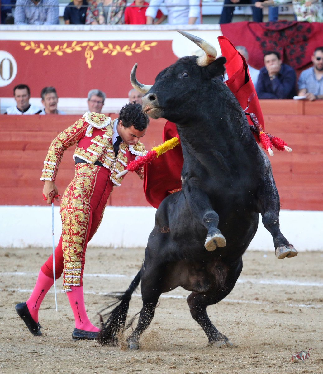 Torreón de Ardoz (Madrid) - Corrida de toros - Sorteo - Sábado 16 de junio de 2018