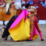 Torreón de Ardoz (Madrid) - Corrida de toros - Sorteo - Sábado 16 de junio de 2018