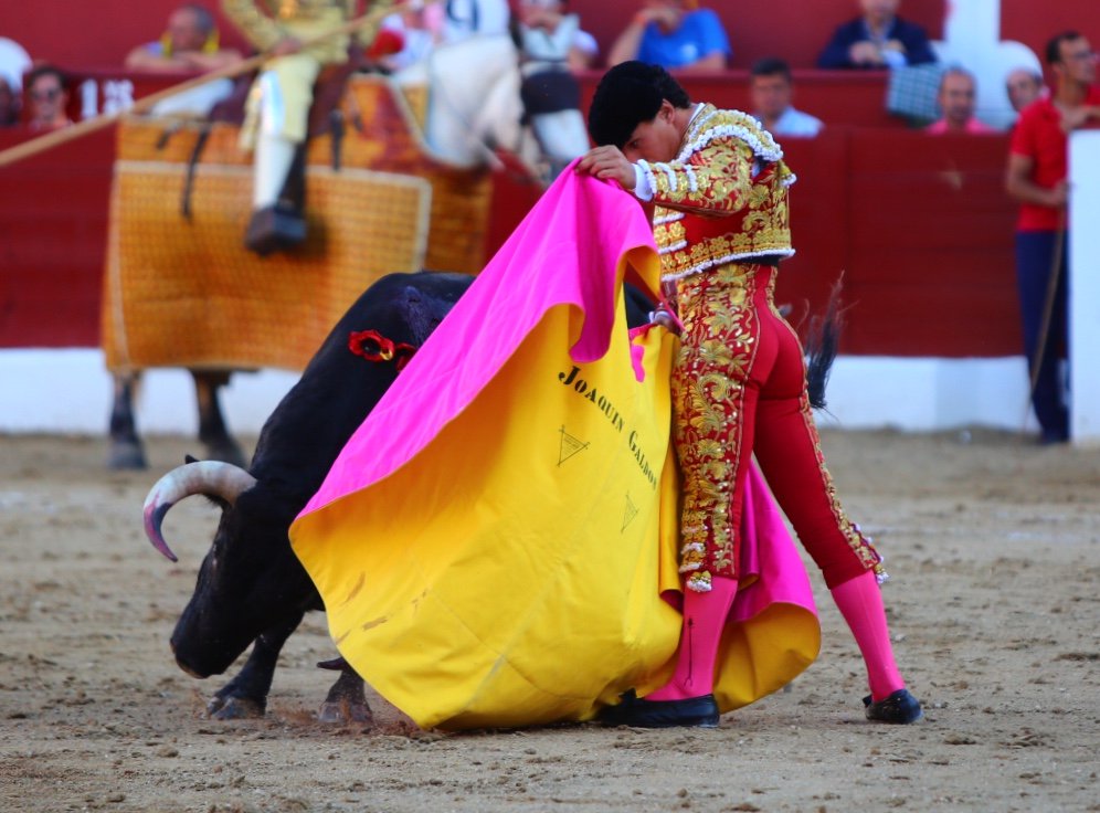 Torreón de Ardoz (Madrid) - Corrida de toros - Sorteo - Sábado 16 de junio de 2018