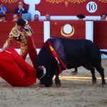 Torreón de Ardoz (Madrid) - Corrida de toros - Sorteo - Sábado 16 de junio de 2018