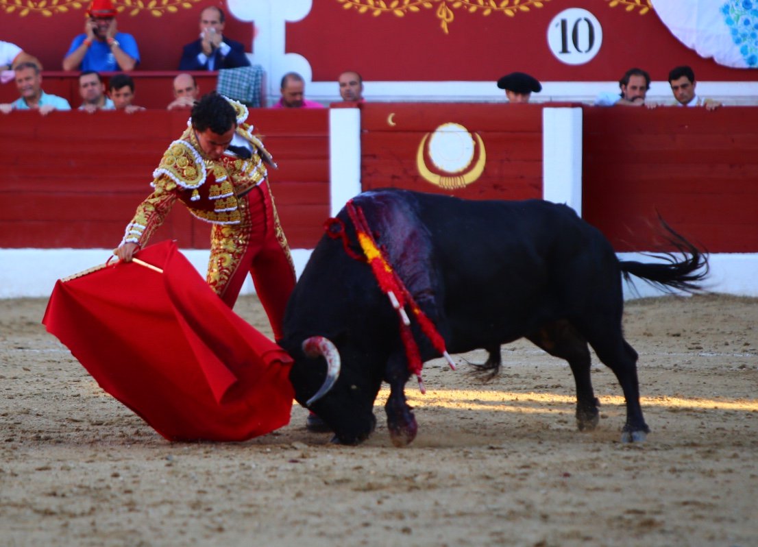 Torreón de Ardoz (Madrid) - Corrida de toros - Sorteo - Sábado 16 de junio de 2018