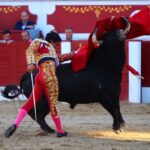 Torreón de Ardoz (Madrid) - Corrida de toros - Sorteo - Sábado 16 de junio de 2018