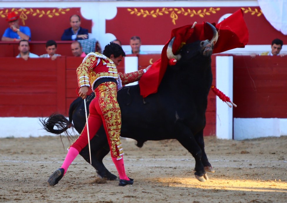 Torreón de Ardoz (Madrid) - Corrida de toros - Sorteo - Sábado 16 de junio de 2018