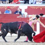 Torreón de Ardoz (Madrid) - Corrida de toros - Sorteo - Sábado 16 de junio de 2018