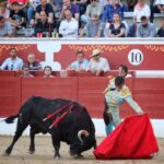 Torreón de Ardoz (Madrid) - Corrida de toros - Sorteo - Sábado 16 de junio de 2018