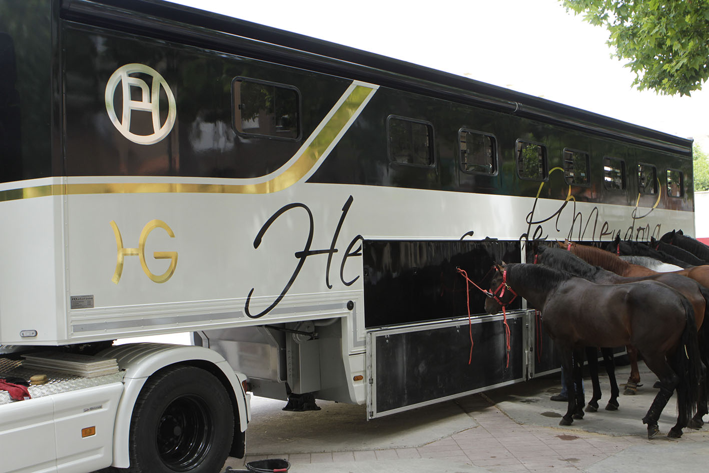 Nuevo camión de Hermoso de Mendoza
