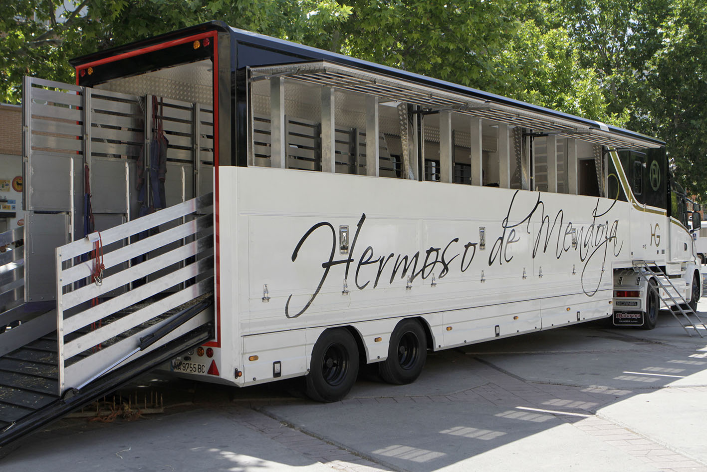 Nuevo camión de Hermoso de Mendoza