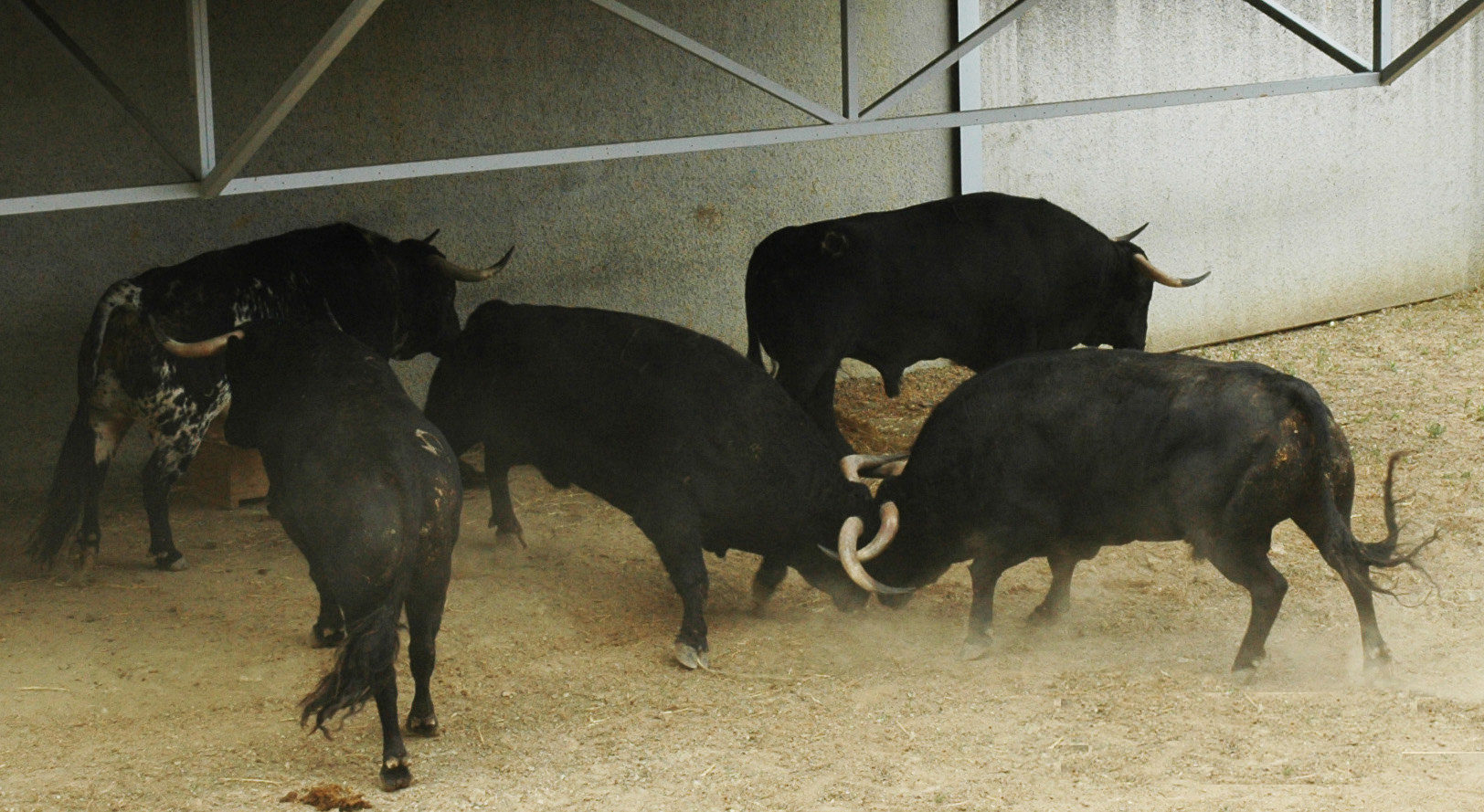 Pamplona - Toros del Puerto de San Lorenzo para el 7 de junio de 2018