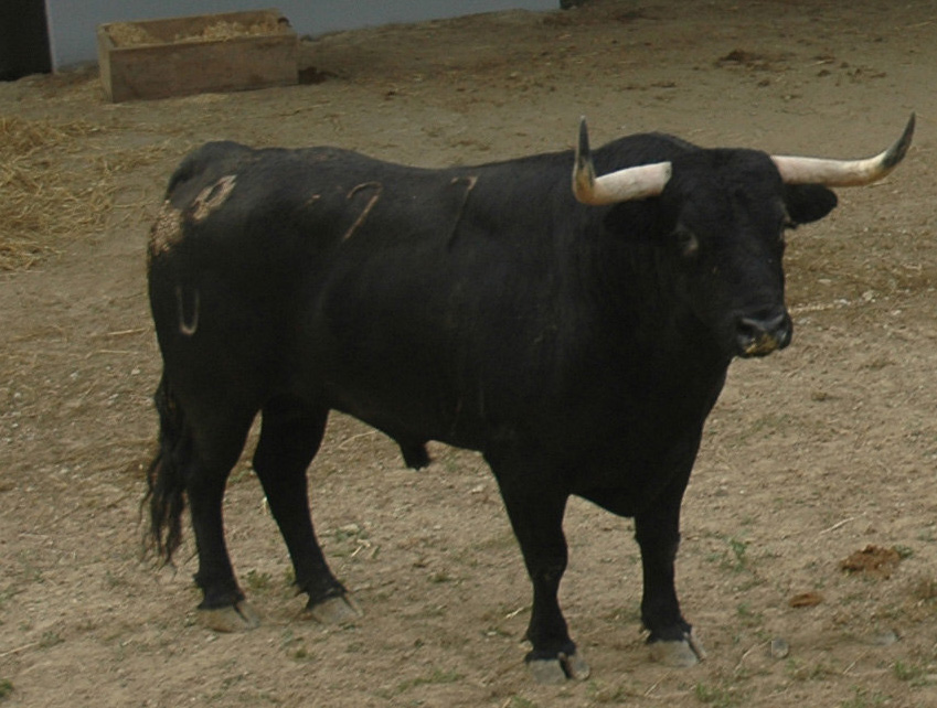 Pamplona - Toros del Puerto de San Lorenzo para el 7 de junio de 2018