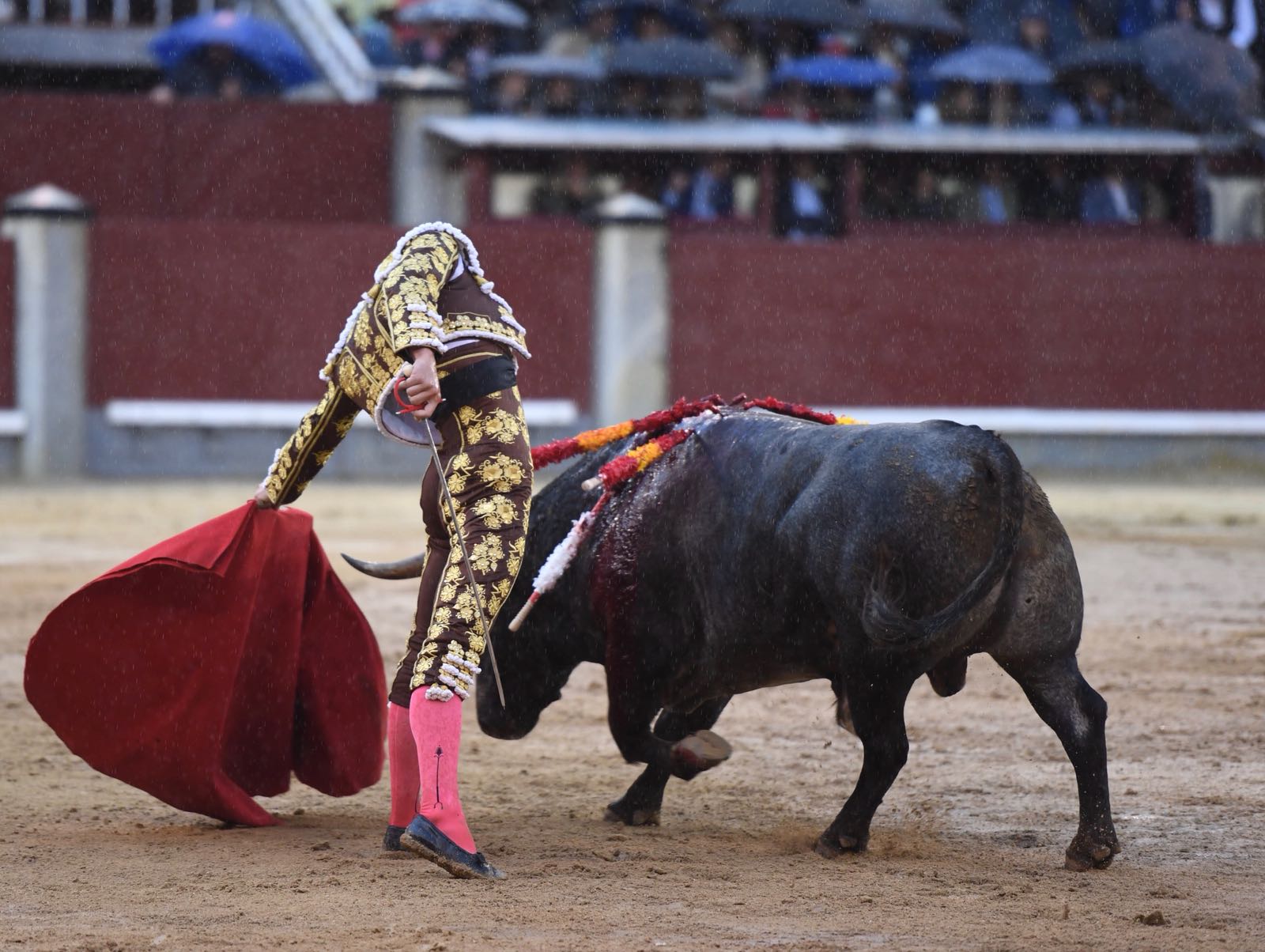 Madrid, 8 de junio de 2018