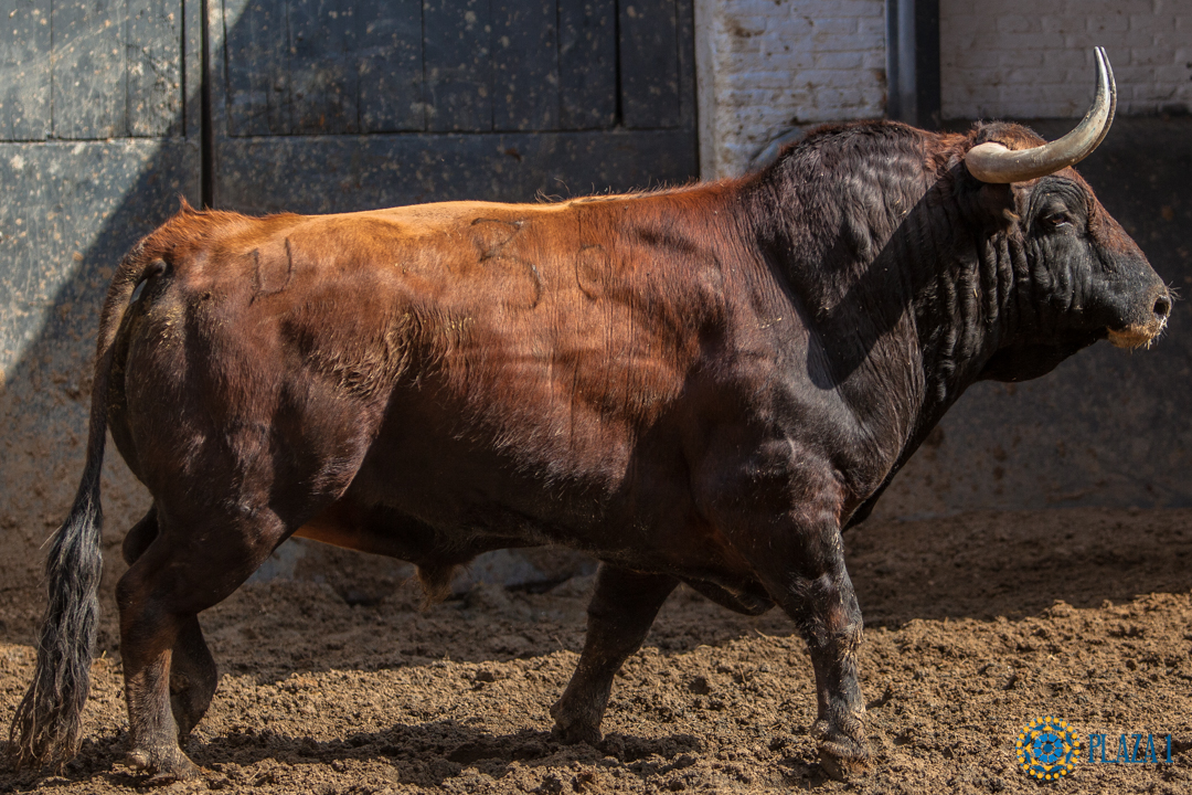 Epicentro, el primero de los seis victorianos para Madrid