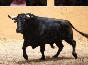 Sorteo, Granada 3 de junio de 2018