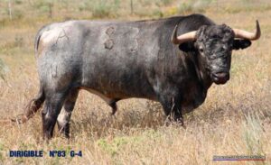 Toros de Victorino Martín reseñados para el 30 de junio de 2018 en Soria