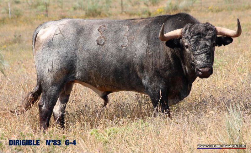 Los toros del debut de Victorino Martín en Soria