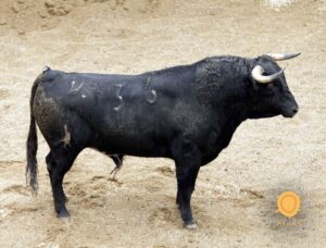 Novillos de Dolores Rufino para Sevilla. 7 de junio de 2018.