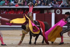 Cogida El Cid, Madrid 8 de junio de 2018