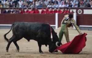 Madrid - Feria de San Isidro - Corrida de toros - Domingo 10 de junio de 2018