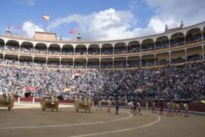 Madrid - Feria de San Isidro - Corrida de toros - Domingo 10 de junio de 2018