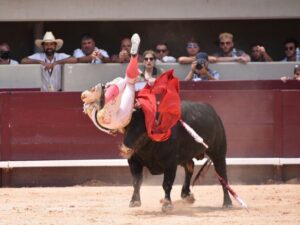 Istres (Francia) - Corrida de toros - Mañana - Domingo 17 de junio de 2018