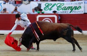 Aires sur l'Amour - Corrida de toros - Domingo 17 de junio de 2018
