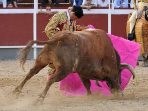 Enrique Martínez "Chapurra"