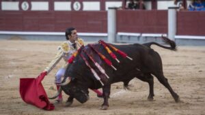 "Sería una pena que ese punto de sazón artística que exhibe Talavante se diluyese en los vericuetos de los despachos".