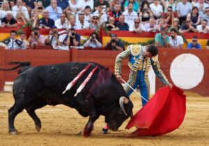 Alicante, 24 de junio de 2018