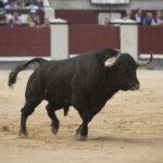 Cuba II, de Puerto de San Lorenzo