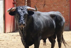 Algeciras, Feria Real, 28 de junio de 2018