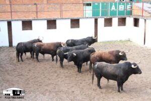 Burgos - Sorteo - Antonio Bañuelos - Sábado 30 de junio de 2018