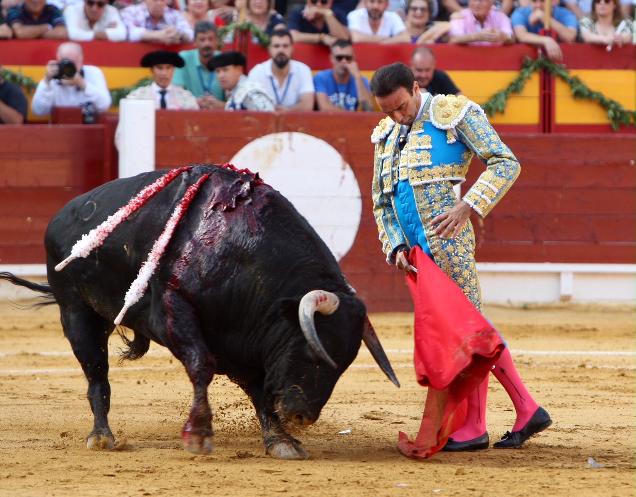 Garcigrande, mejor ganadería de la Feria de Hogueras