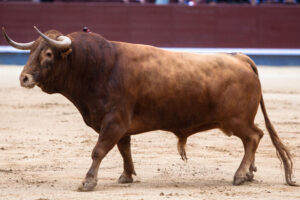 Licenciado, de Alcurrucén