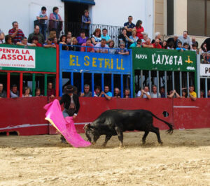 Varea, en sus tiempos de novillero sin picadores, en Lucena del Cid (Castellón).