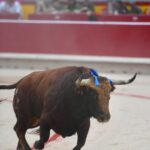 Pamplona, 13 de julio de 2018