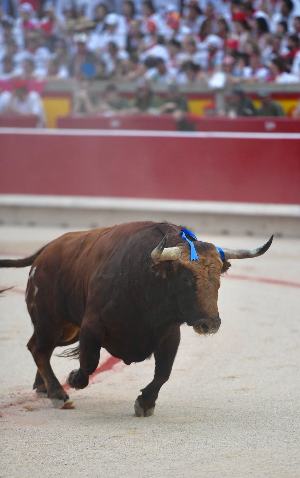 Pamplona, 13 de julio de 2018