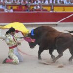 Pamplona, 13 de julio de 2018