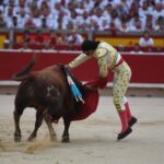 Pamplona, 13 de julio de 2018
