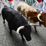 Encierro, Pamplona 7 de julio de 2018