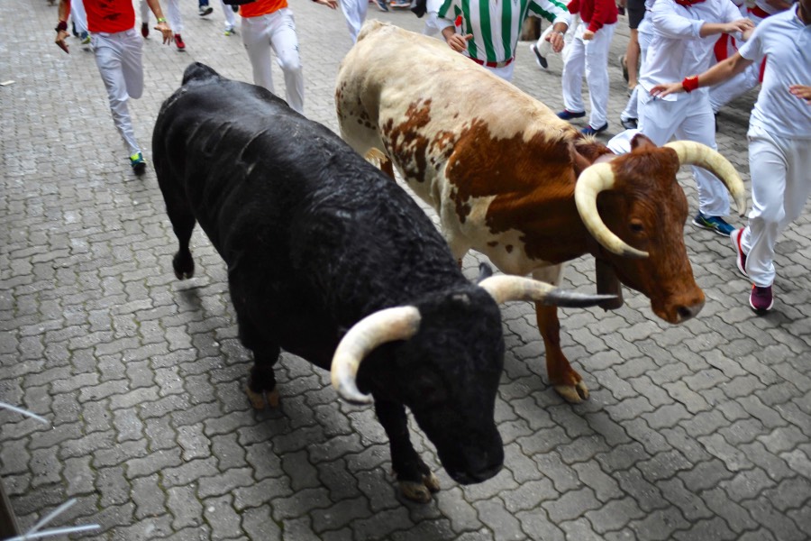 Encierro, Pamplona 7 de julio de 2018
